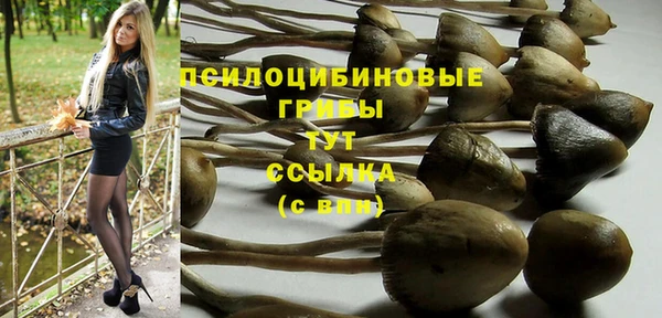 гашиш Гусь-Хрустальный