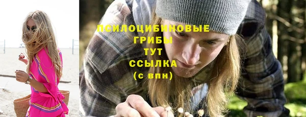 ECSTASY Гусев
