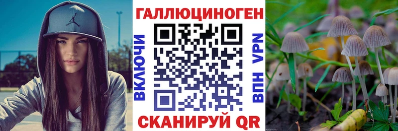Галлюциногенные грибы Magic Shrooms  Купить где  Калачинск 